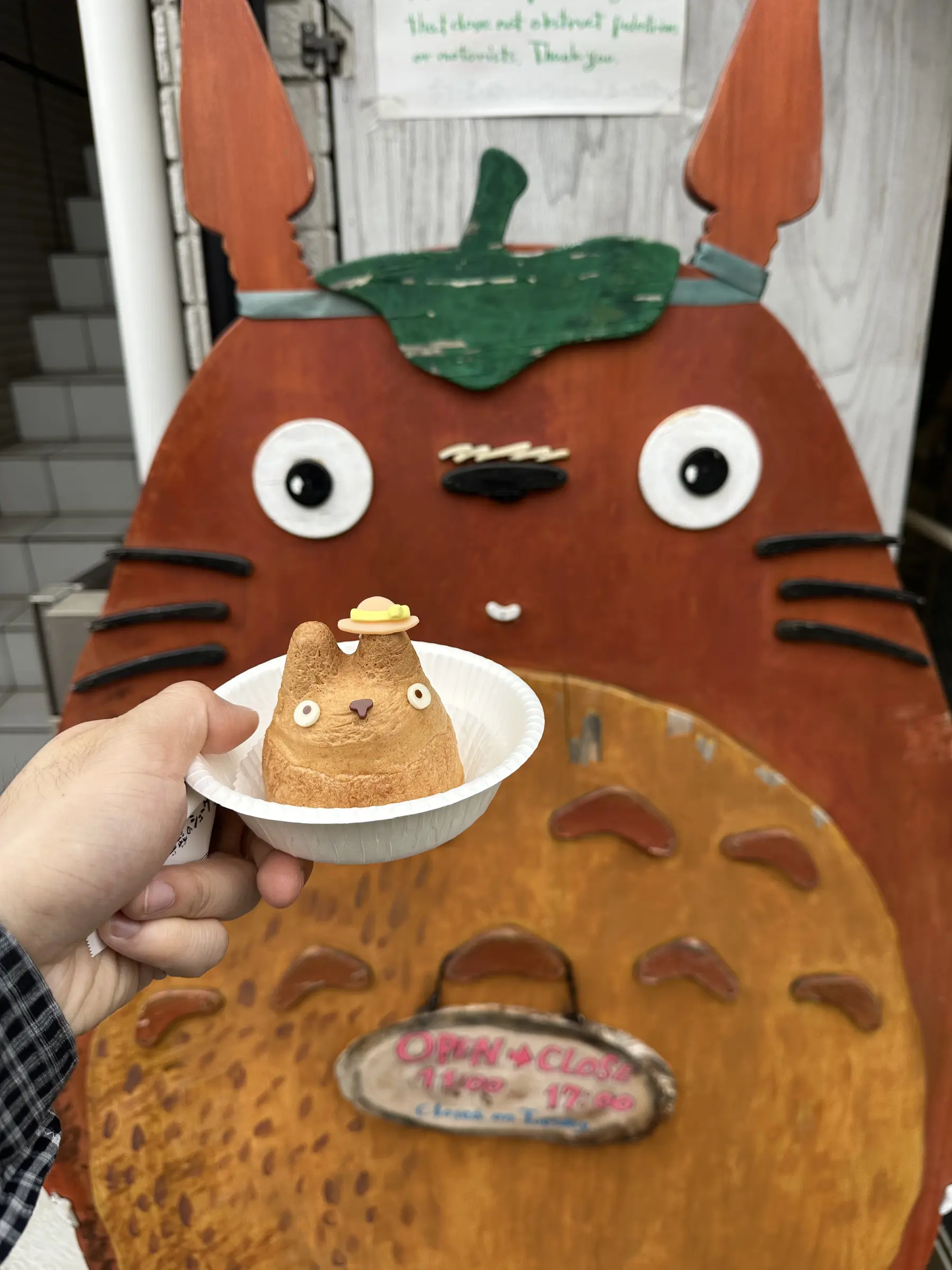 Japan through my eyes: Tokyo