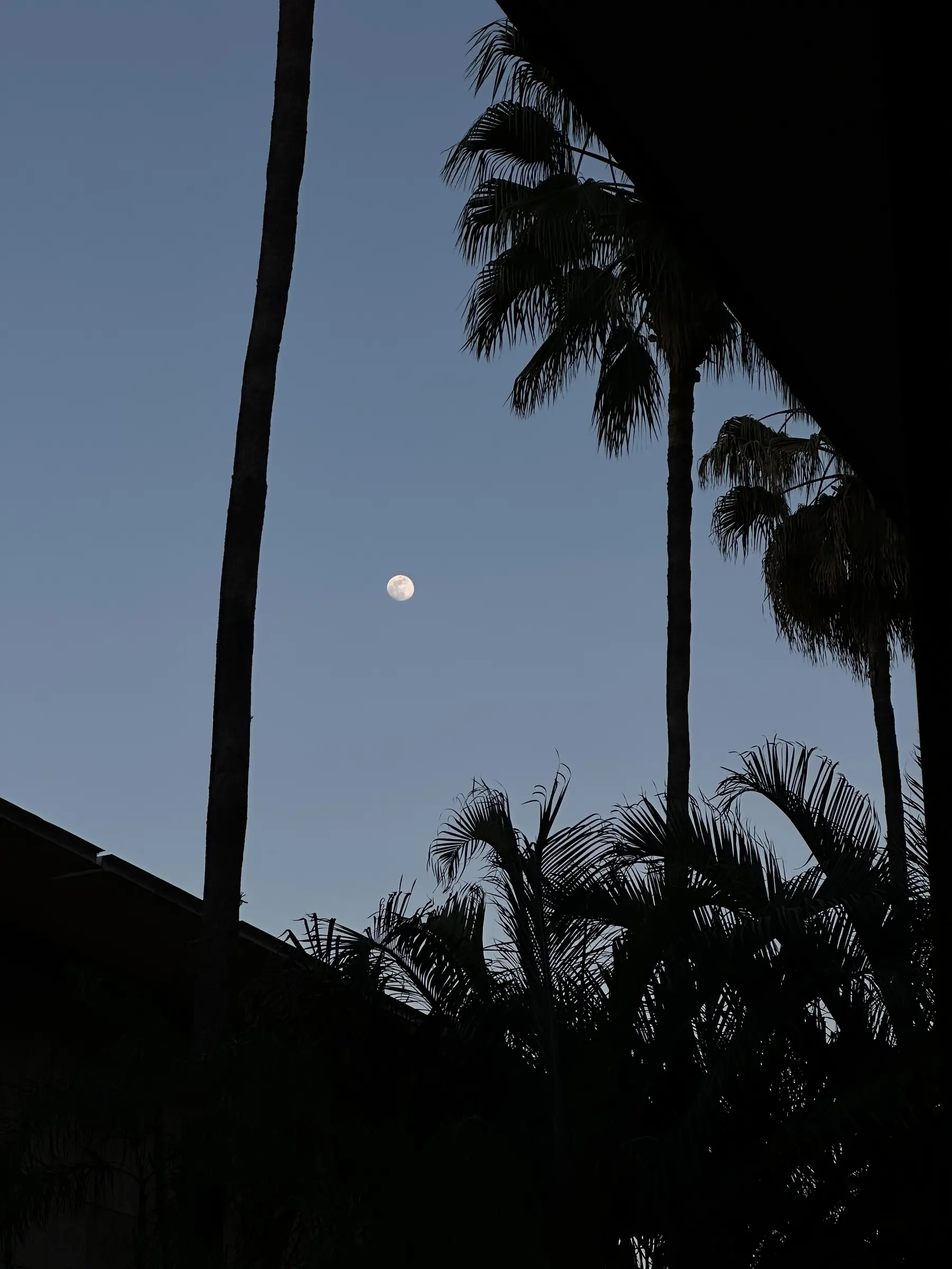 a new website has appeared