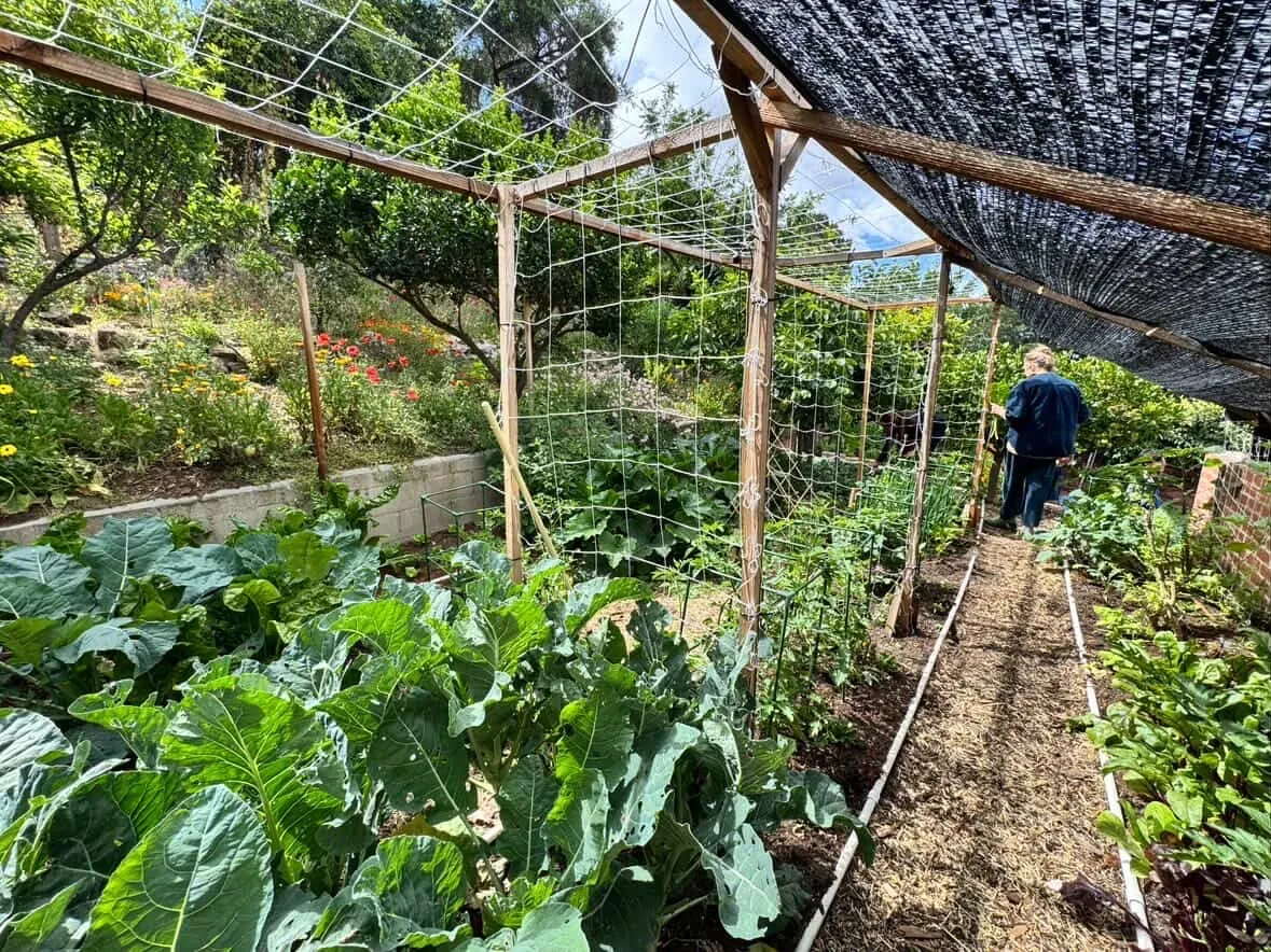 Sonoko's garden