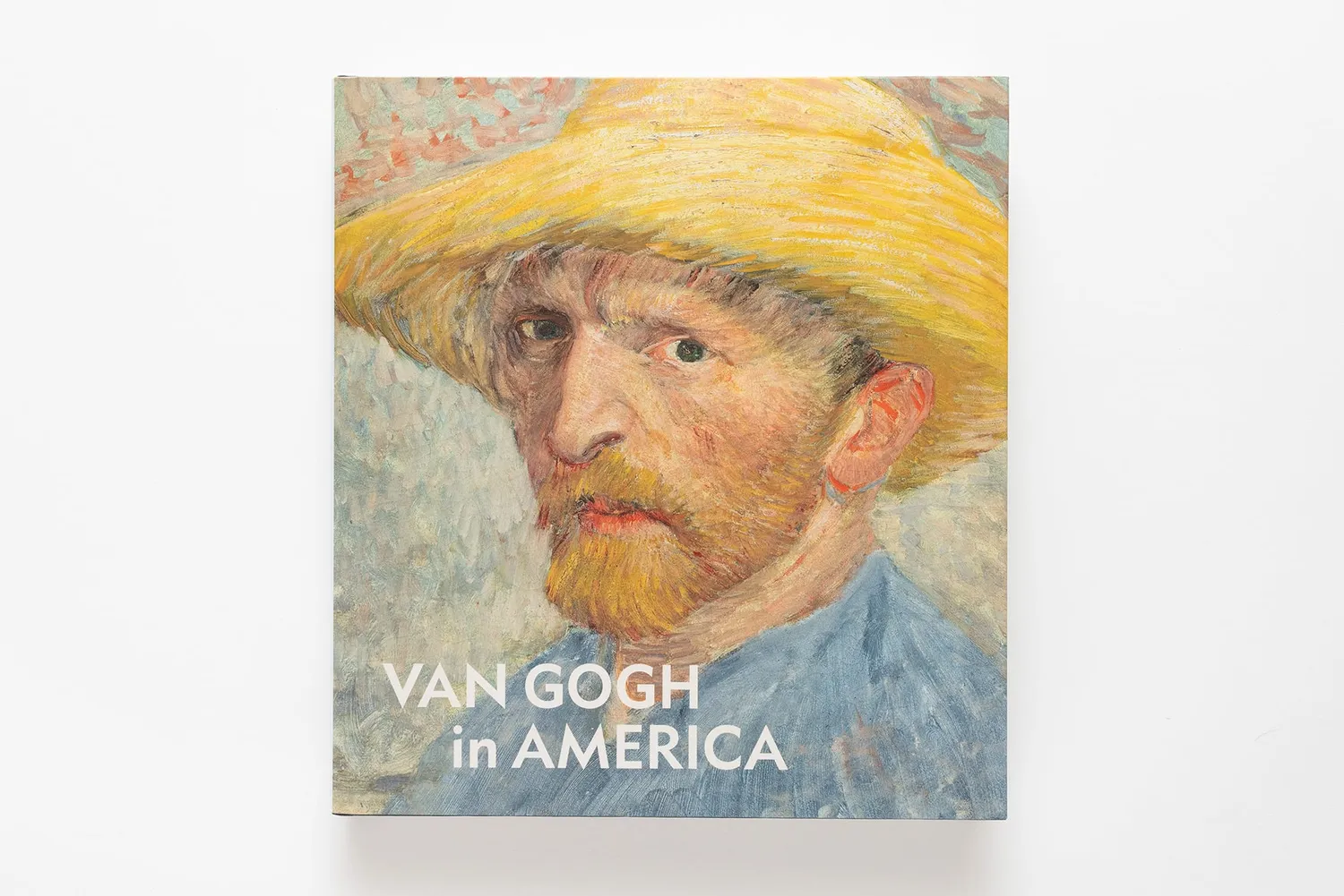 Van Gogh in America image 1