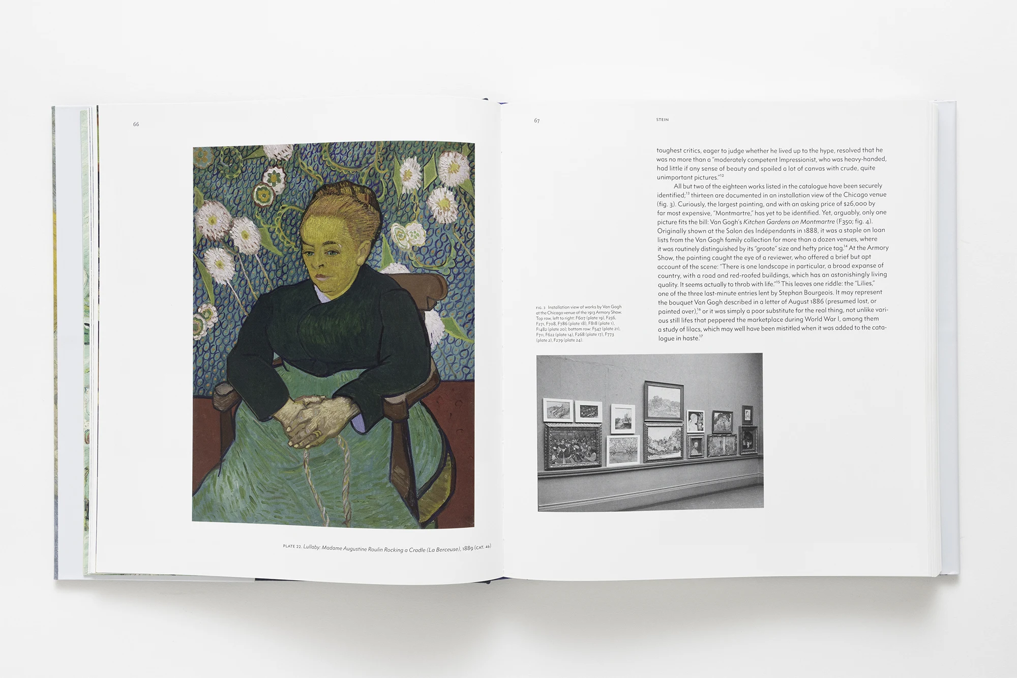 Van Gogh in America image 3